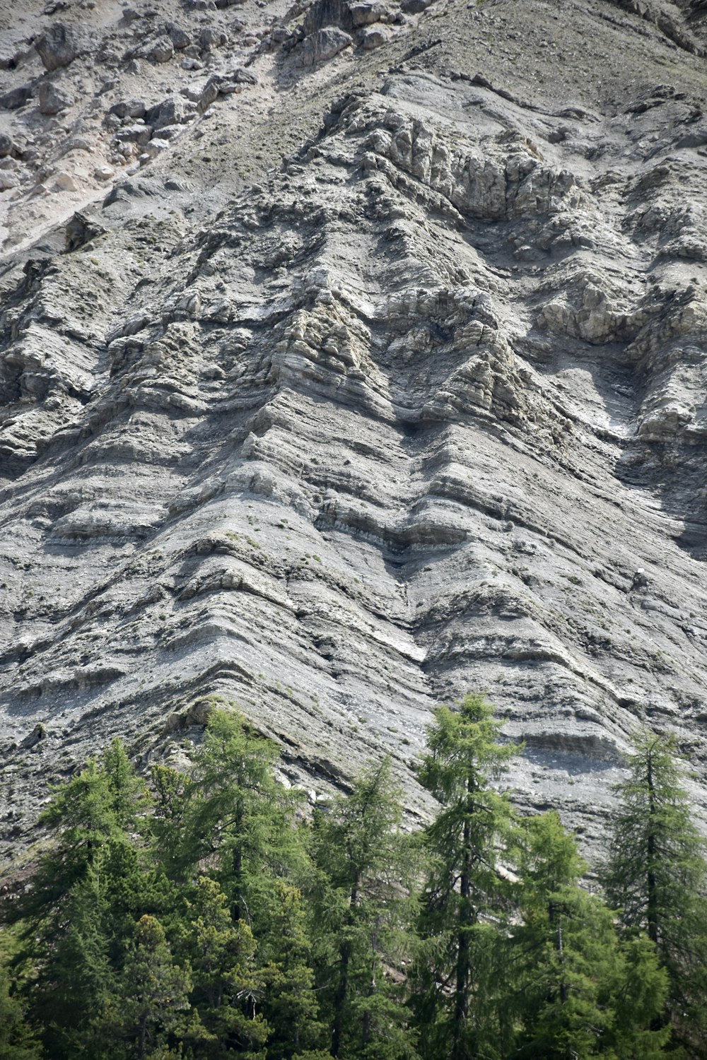 Árboles verdes cerca de Gray Mountain durante el día