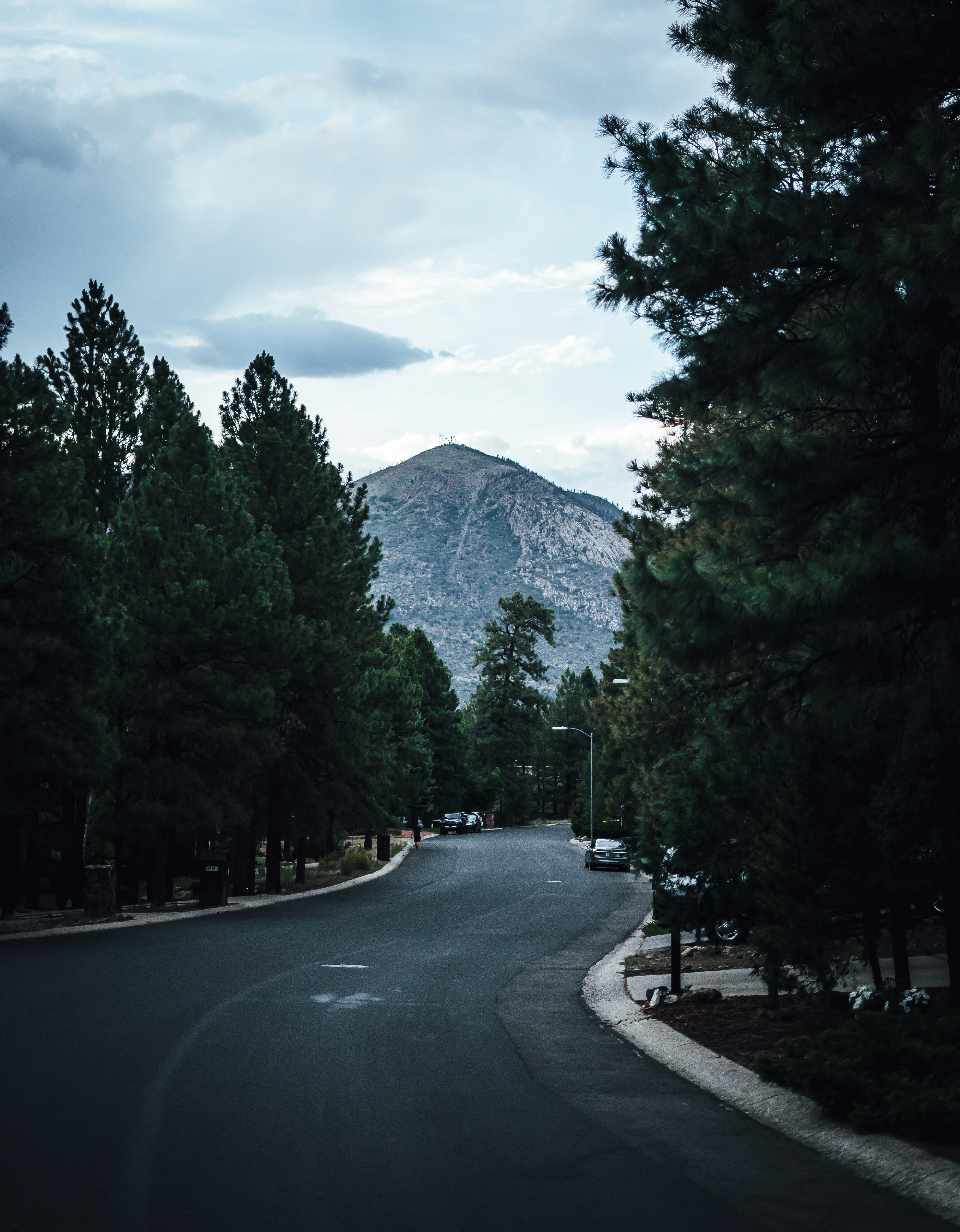 Photo by jeffersonsees