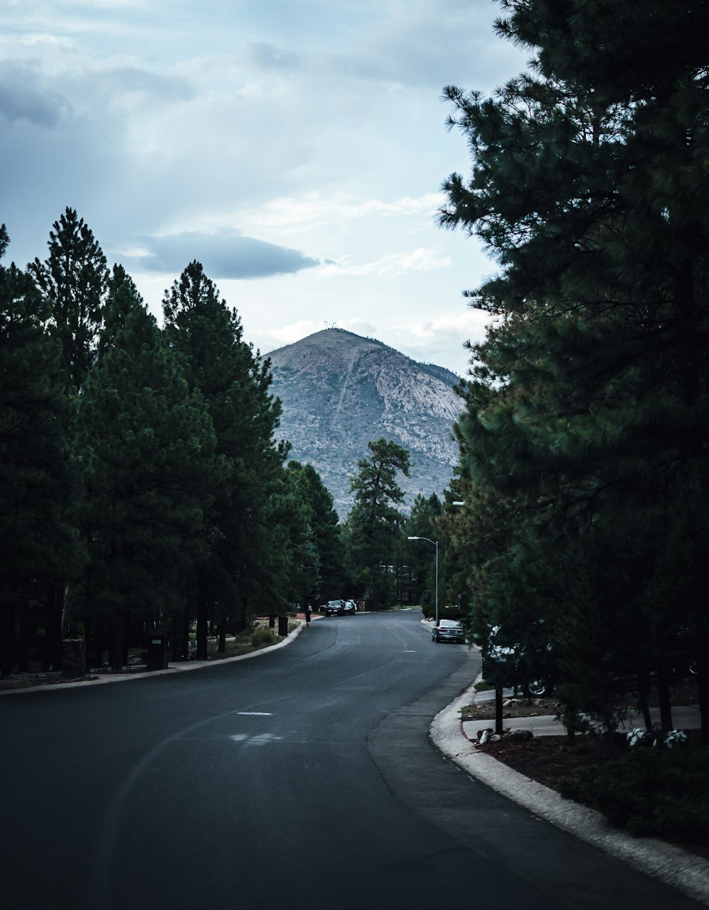 昼間の白い雲と青空の下、山の近くの緑の木々の間の灰色のコンクリート道路