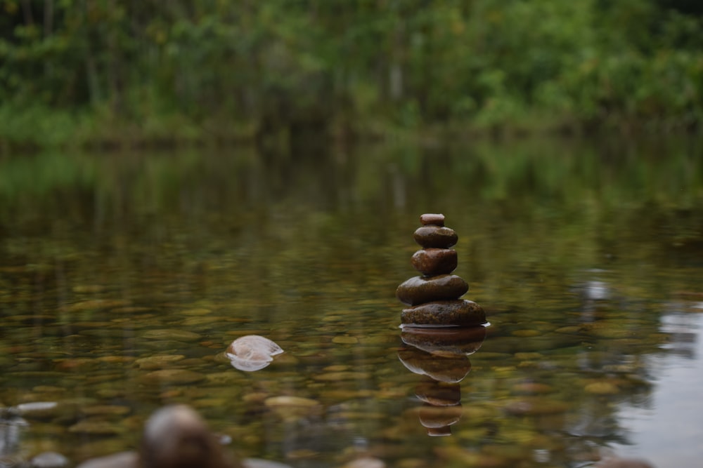 brown stones on water during daytime