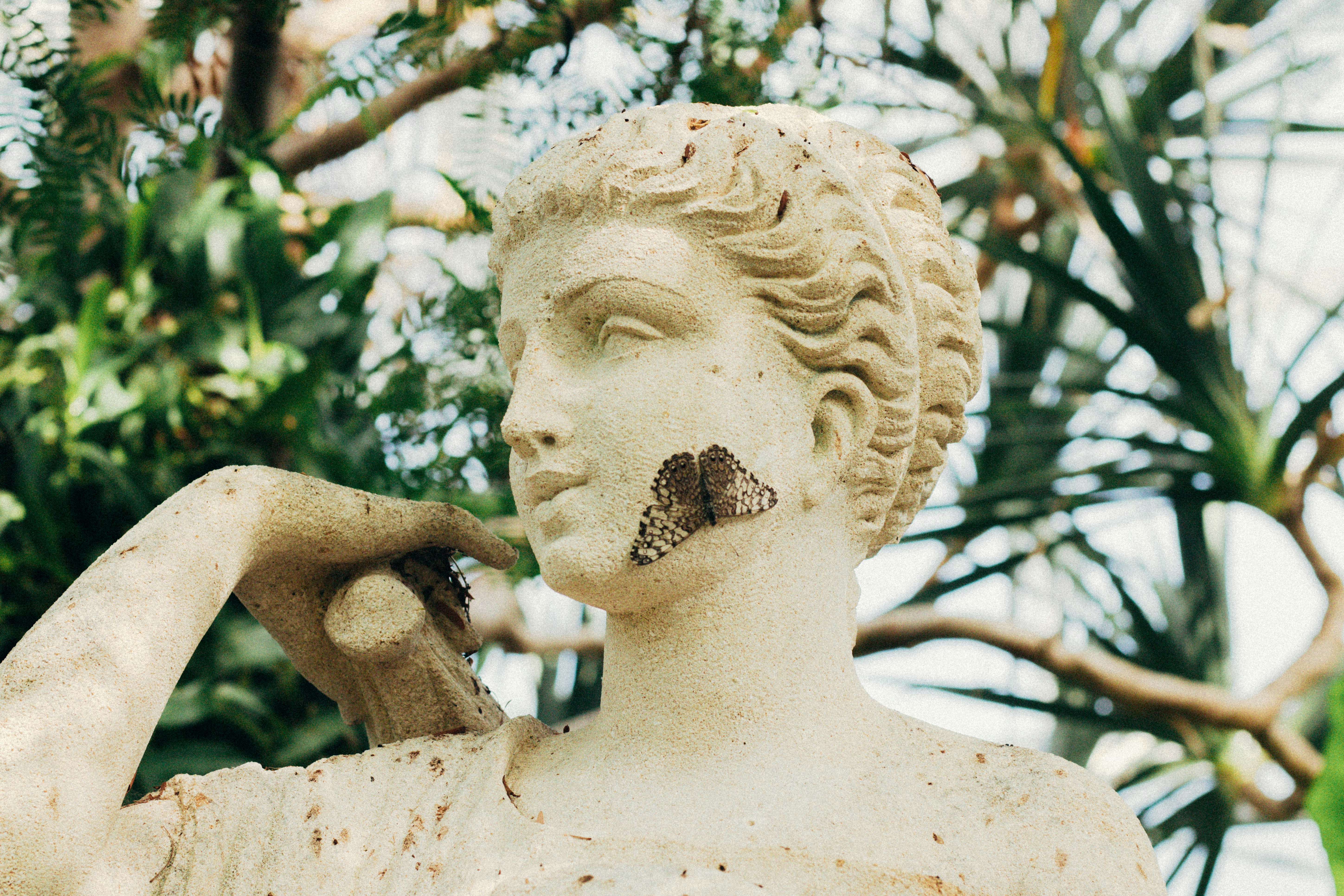 Estátua concreto branco