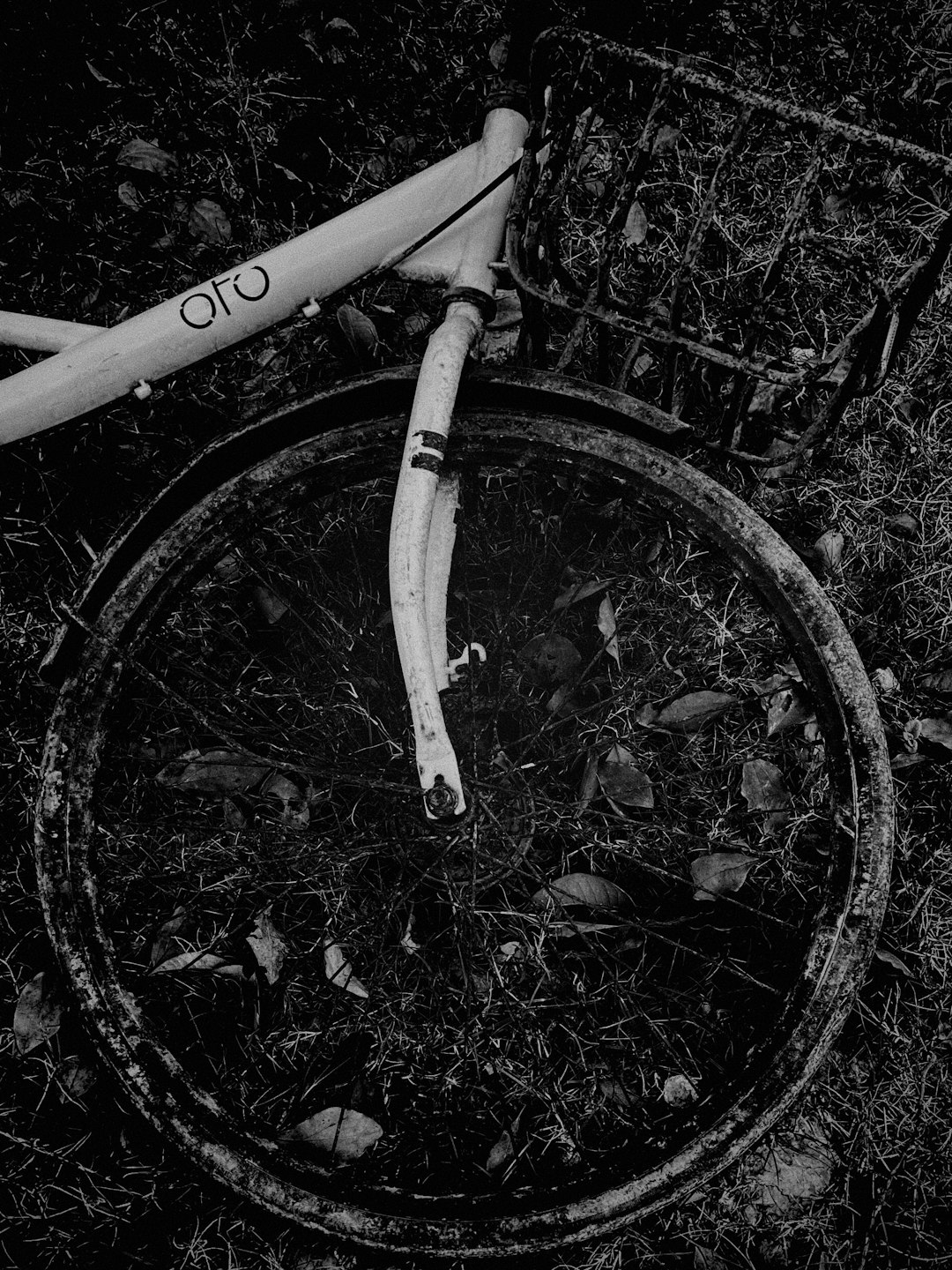grayscale photo of bicycle wheel