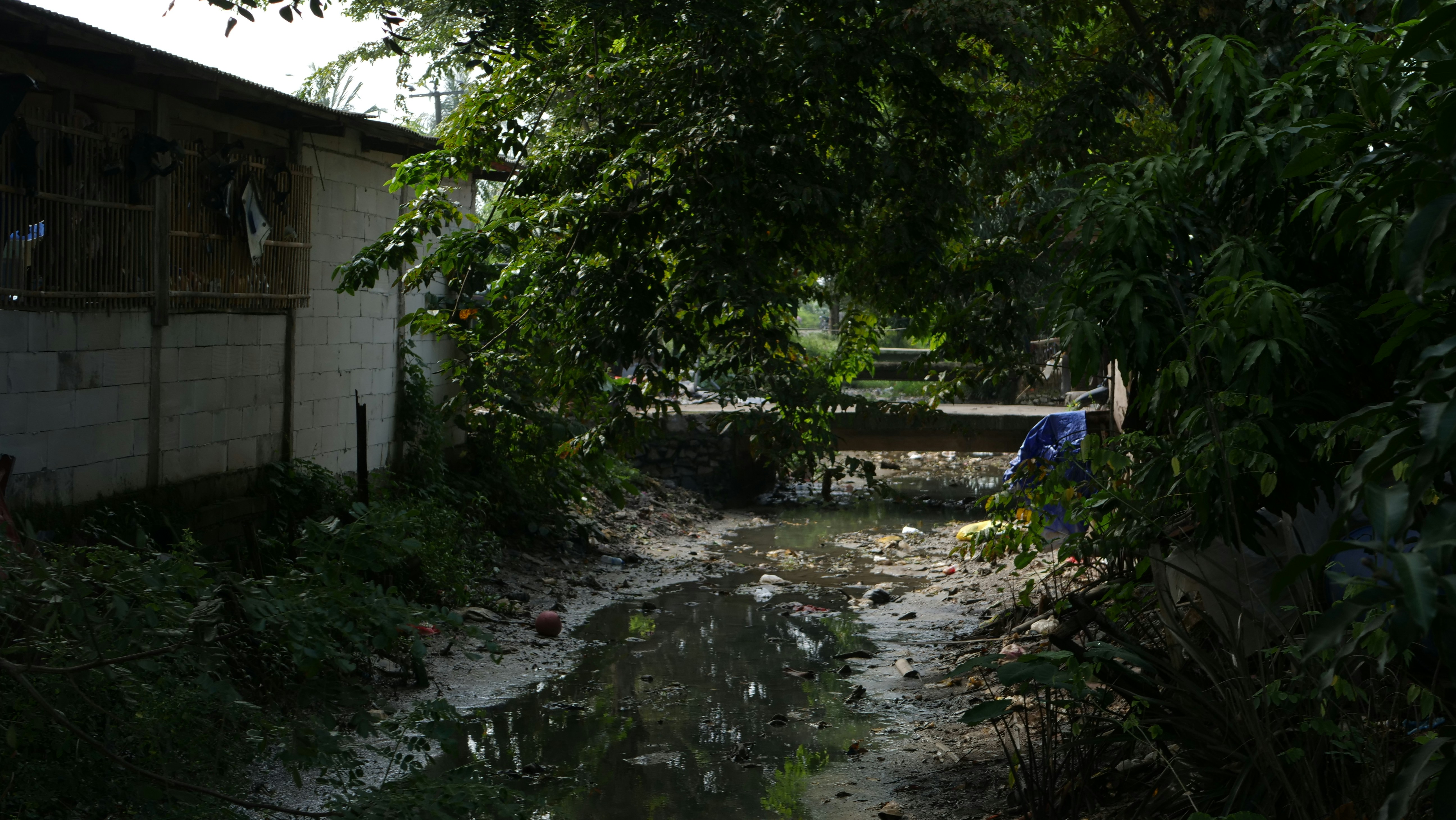 green trees near white house during daytime