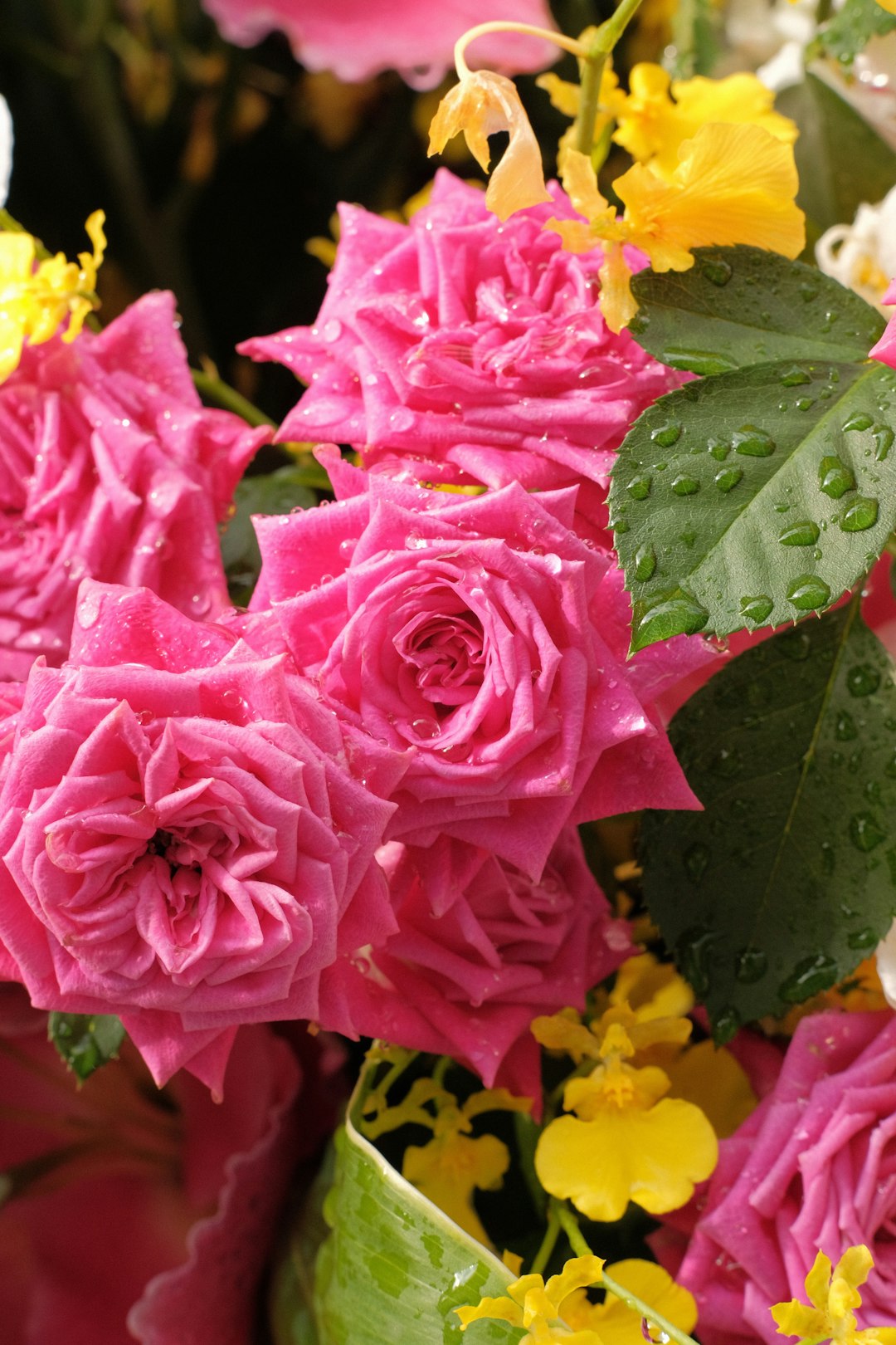 pink flower with green leaves