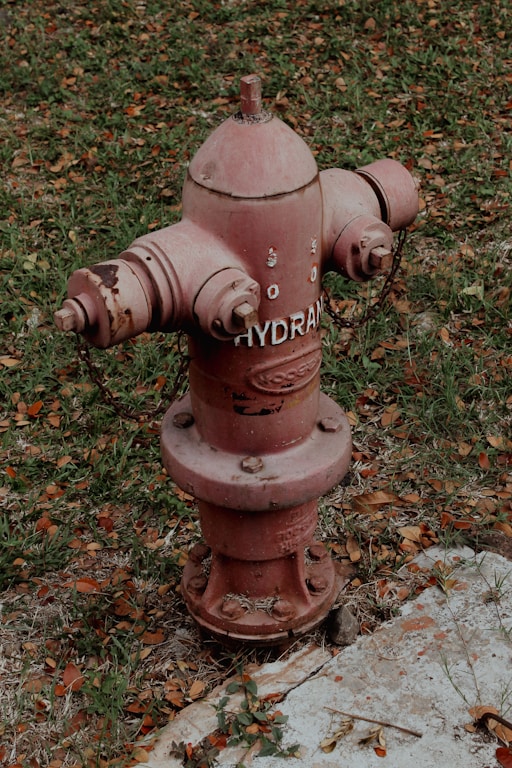 red fire hydrant on brown dried leaves