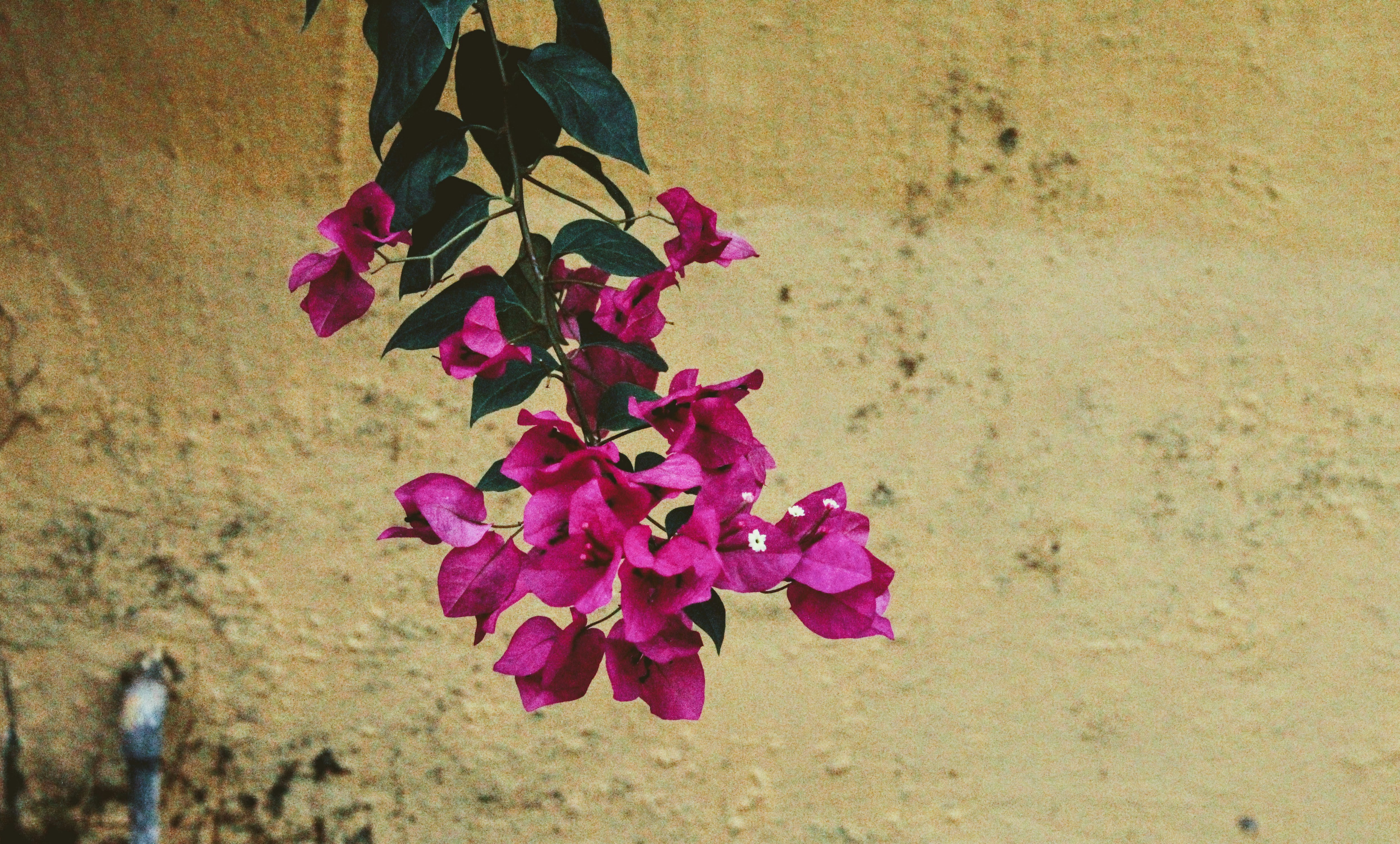 Photo by ananya_sarkar7