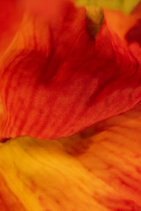 A close-up of a soft cotton t-shirt with a vibrant abstract design.