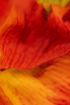 A close-up of a vibrant red and gold kente cloth draped over a minimalist black and white background.