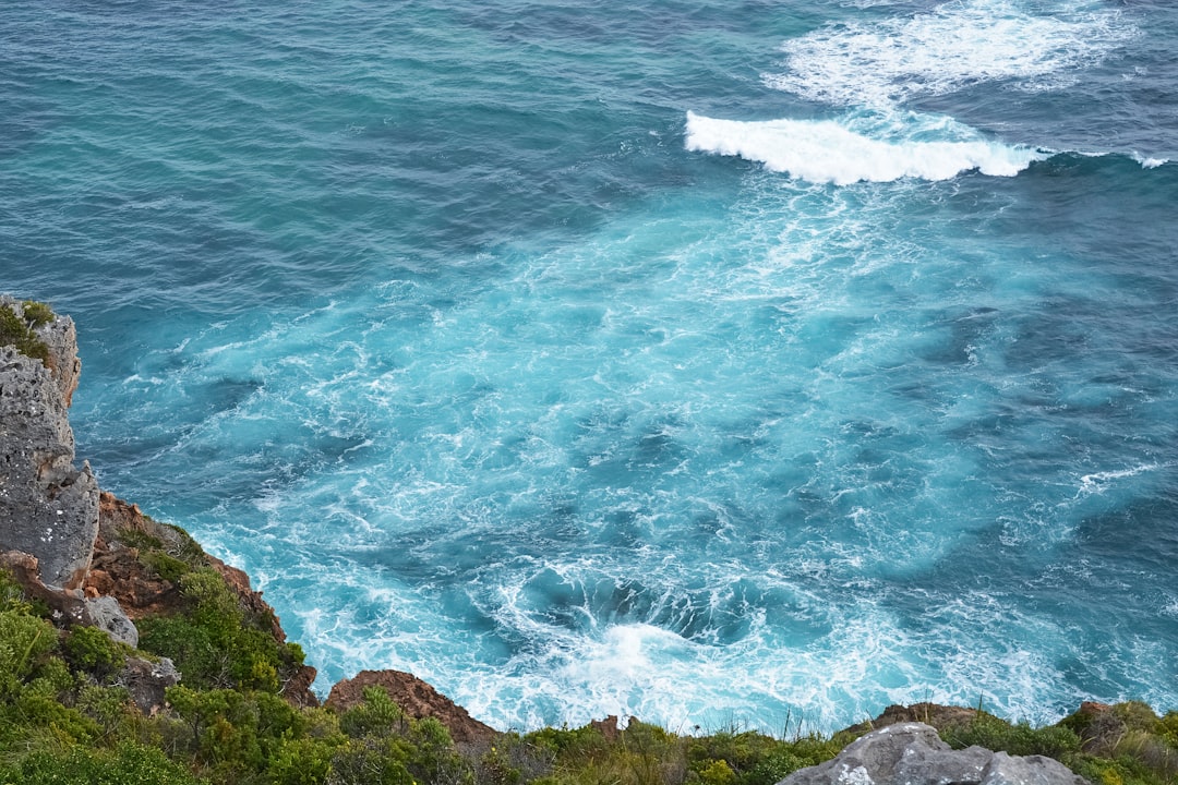 green grass on rocky shore during daytime