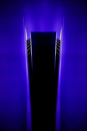 purple and black light fixture