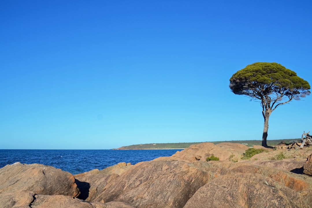 brown rock formation near body of water during daytime