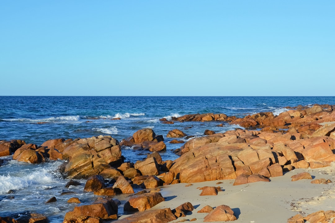 brown rocks on beach during daytime