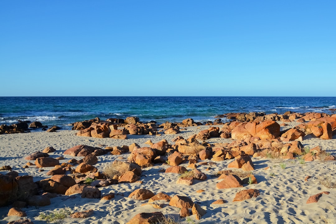 brown rocks near body of water during daytime