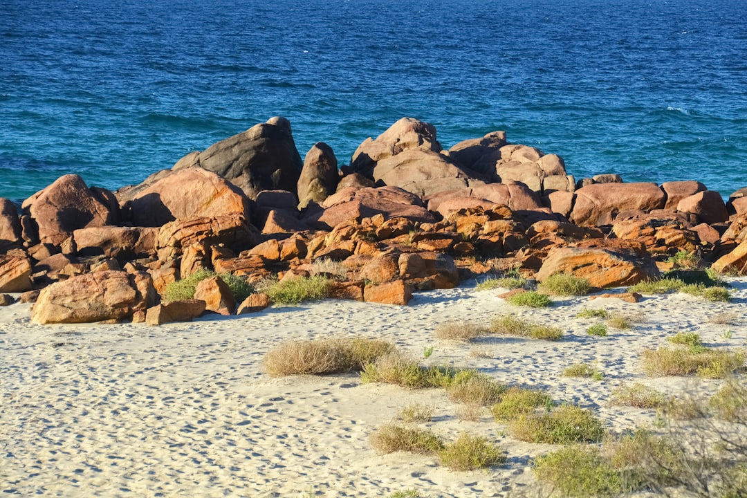 brown rocks on white sand beach during daytime
