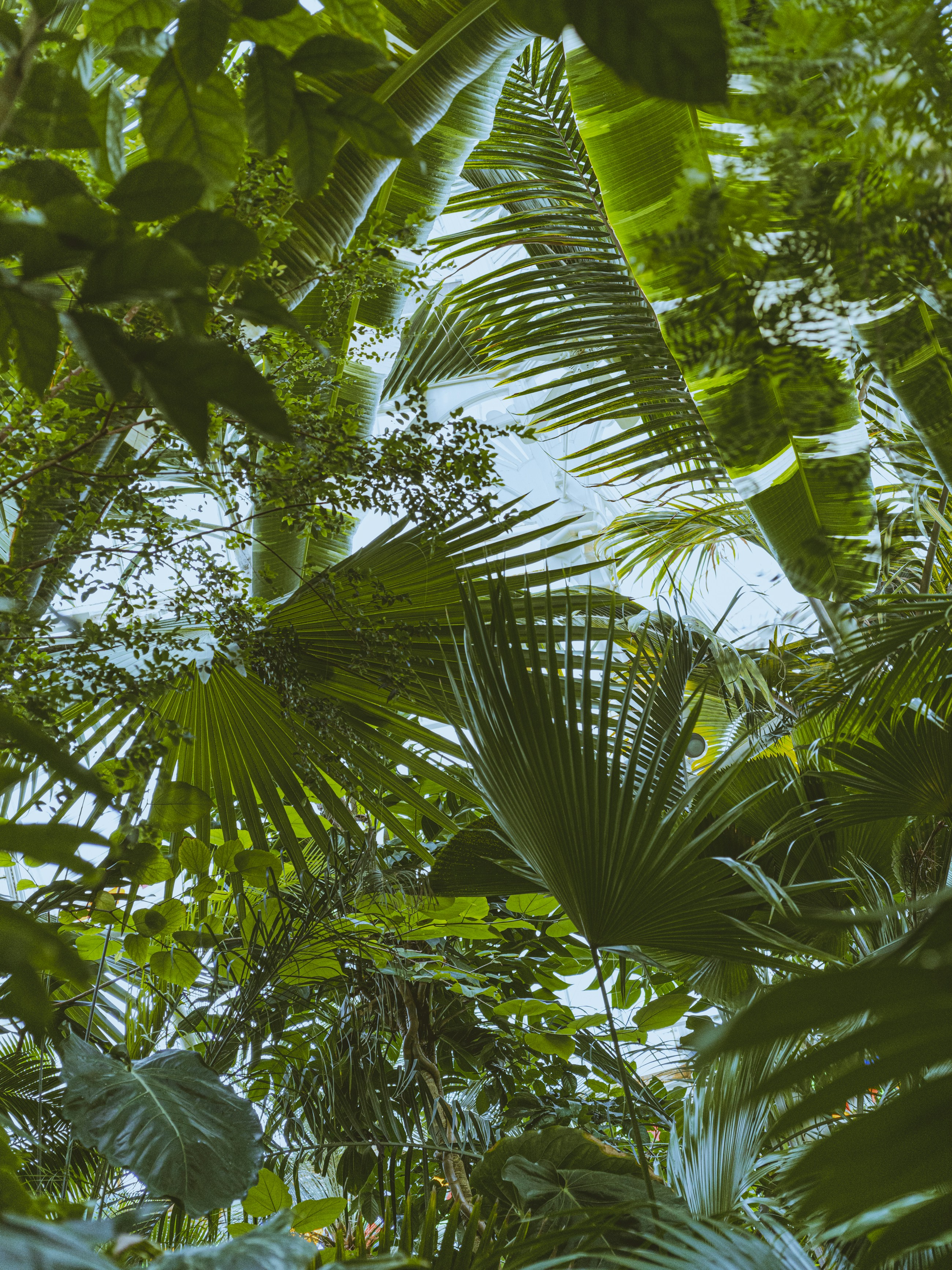 Photo by kierinsightarchives