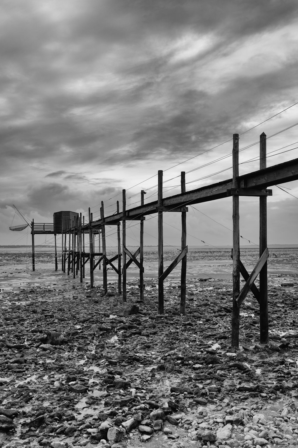 grayscale photo of wooden posts on field