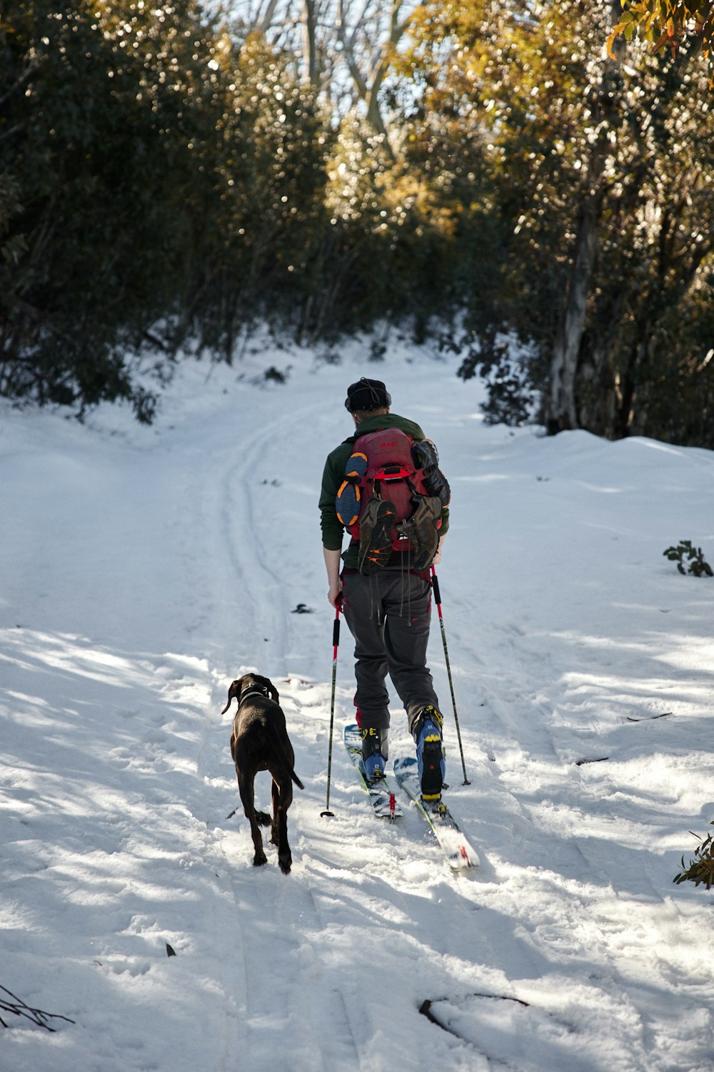 uomo in giacca rossa e pantaloni neri con cane corto in bianco e nero sulla neve