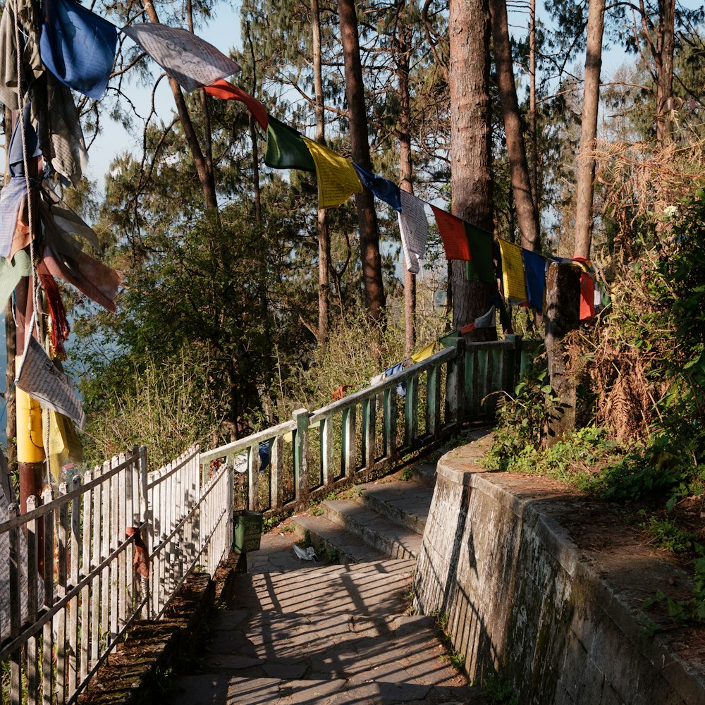 Escaleras de hormigón gris entre los árboles durante el día