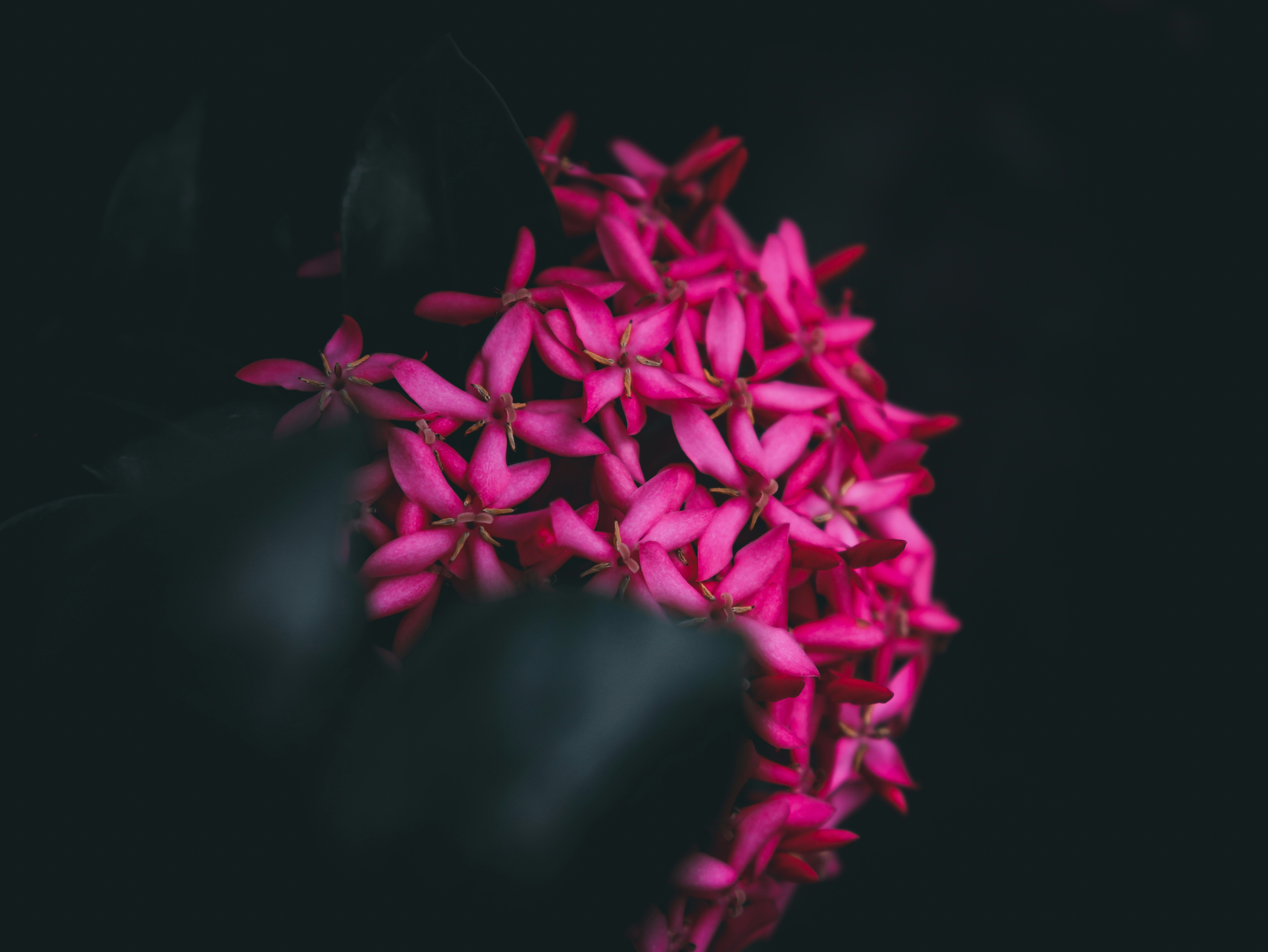 Photo by mariyan_rajesh