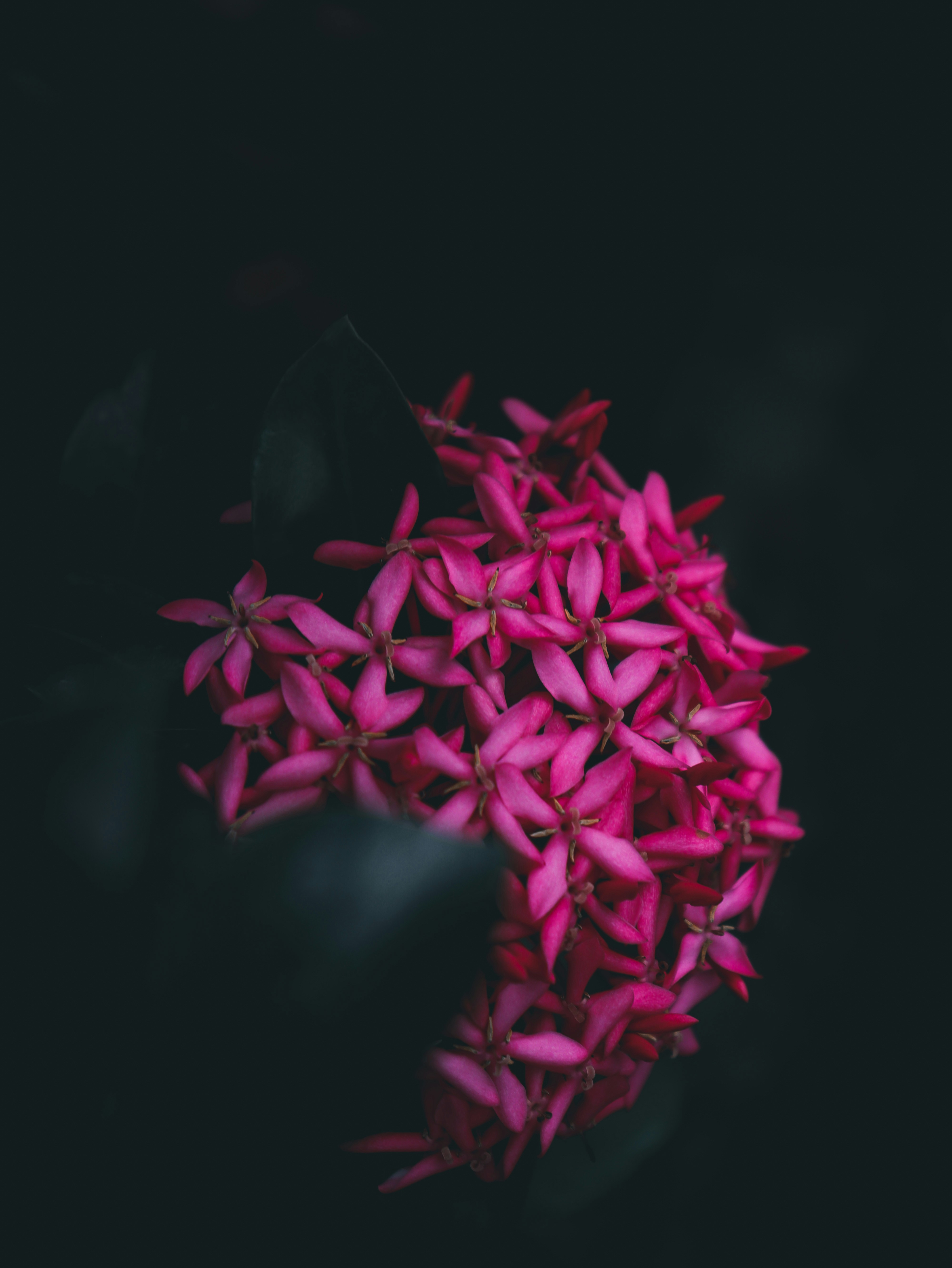 Photo by mariyan_rajesh