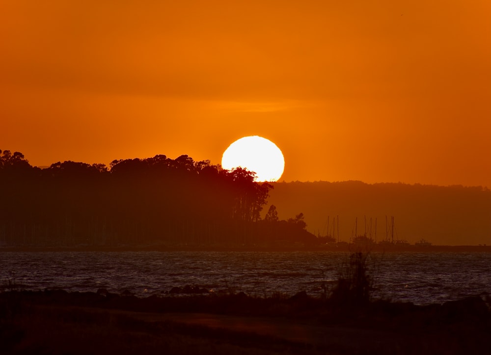 silhueta das árvores durante o pôr do sol