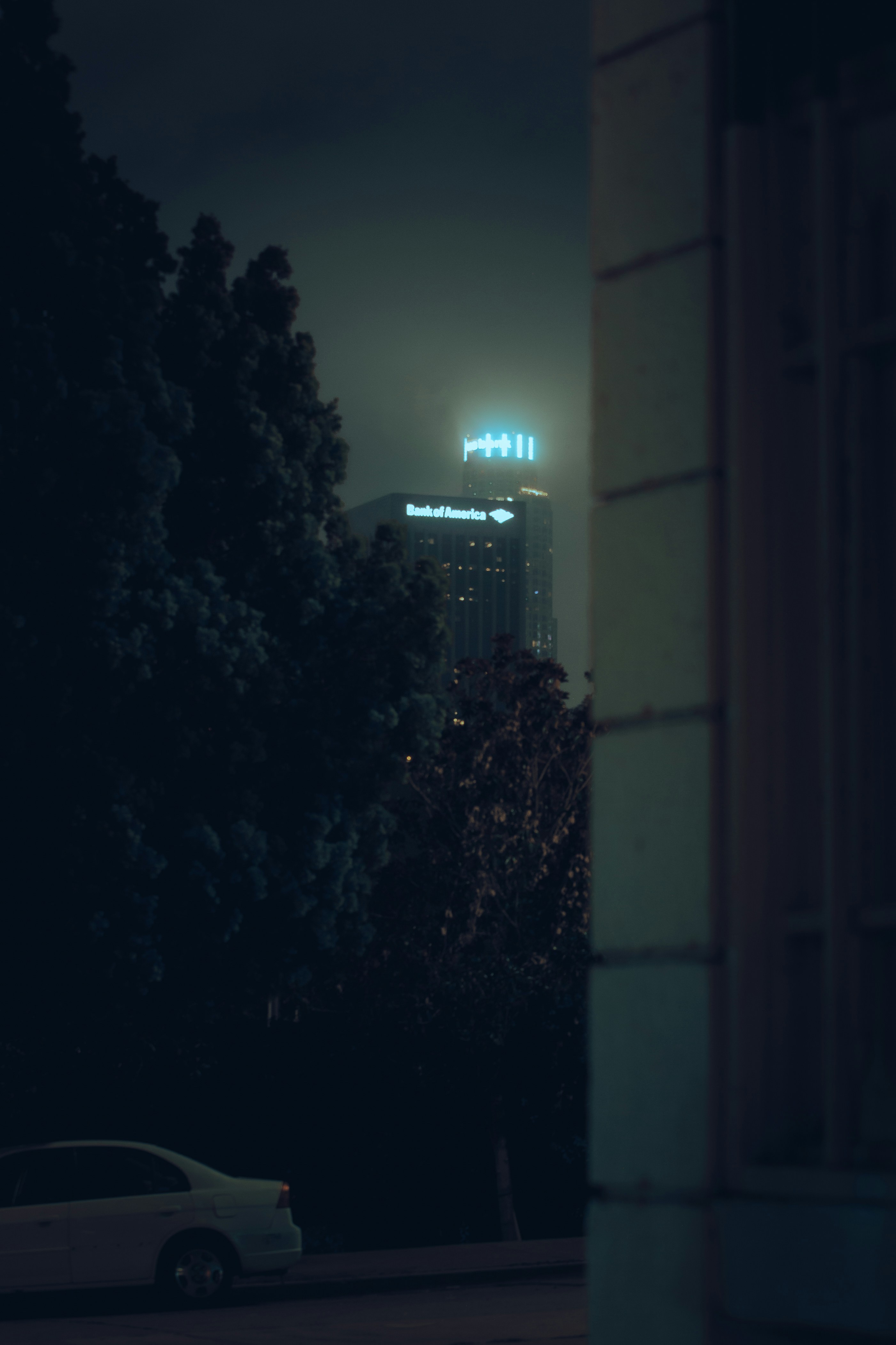 Photo by capturedbyjavi