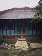 A rustic house with blue wooden panels and a corrugated metal roof stands amid greenery. In front of the house, a dog is comfortably lounging on a pile of covered materials. The surrounding area appears slightly neglected with scattered debris and vegetation.