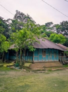 A small traditional house with blue corrugated metal walls and a sloping roof stands amidst lush green surroundings. The structure is elevated on a mound of earth, surrounded by various trees and greenery. The area around the house is covered in grass, with some scattered debris and bamboo sticks.