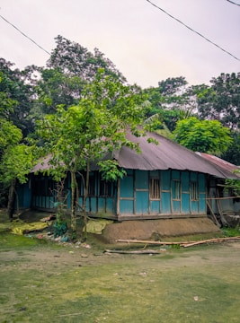 A small traditional house with blue corrugated metal walls and a sloping roof stands amidst lush green surroundings. The structure is elevated on a mound of earth, surrounded by various trees and greenery. The area around the house is covered in grass, with some scattered debris and bamboo sticks.