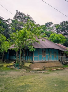 A small traditional house with blue corrugated metal walls and a sloping roof stands amidst lush green surroundings. The structure is elevated on a mound of earth, surrounded by various trees and greenery. The area around the house is covered in grass, with some scattered debris and bamboo sticks.
