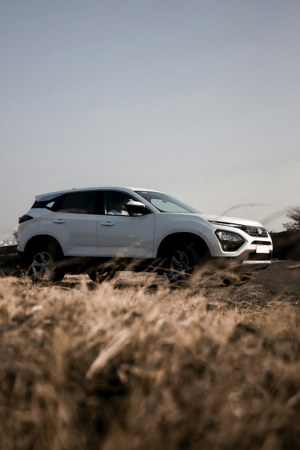 white suv on brown field during daytime