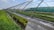 Rows of greenhouses with transparent and green coverings stretch across a field. Inside, numerous potted plants are neatly arranged. Sunlight filters through the coverings, casting shadows on the plants and ground. The sky is clear with a few scattered clouds, creating a serene and tranquil farm environment.