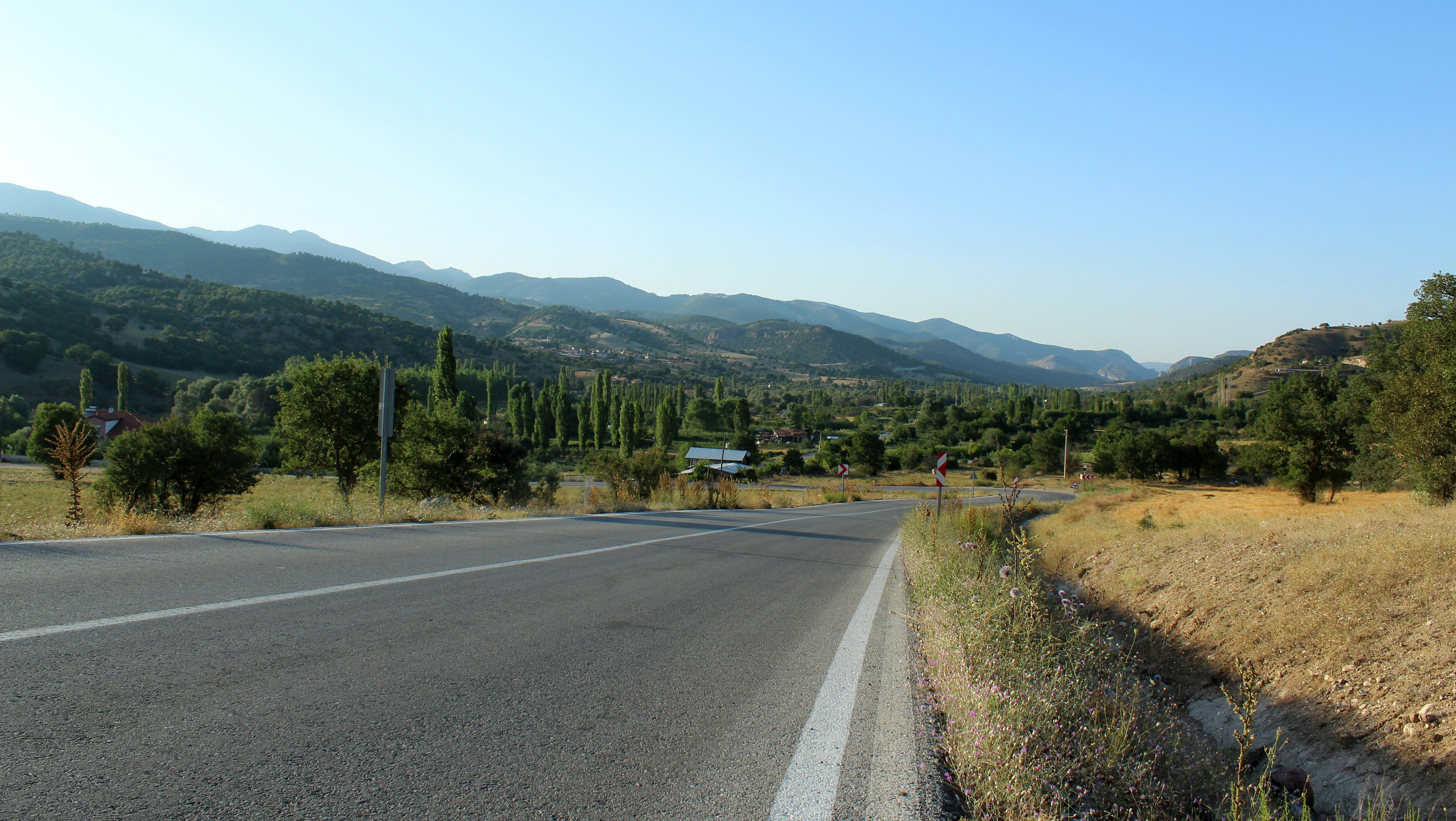 gray concrete road near green trees and mountain during daytime