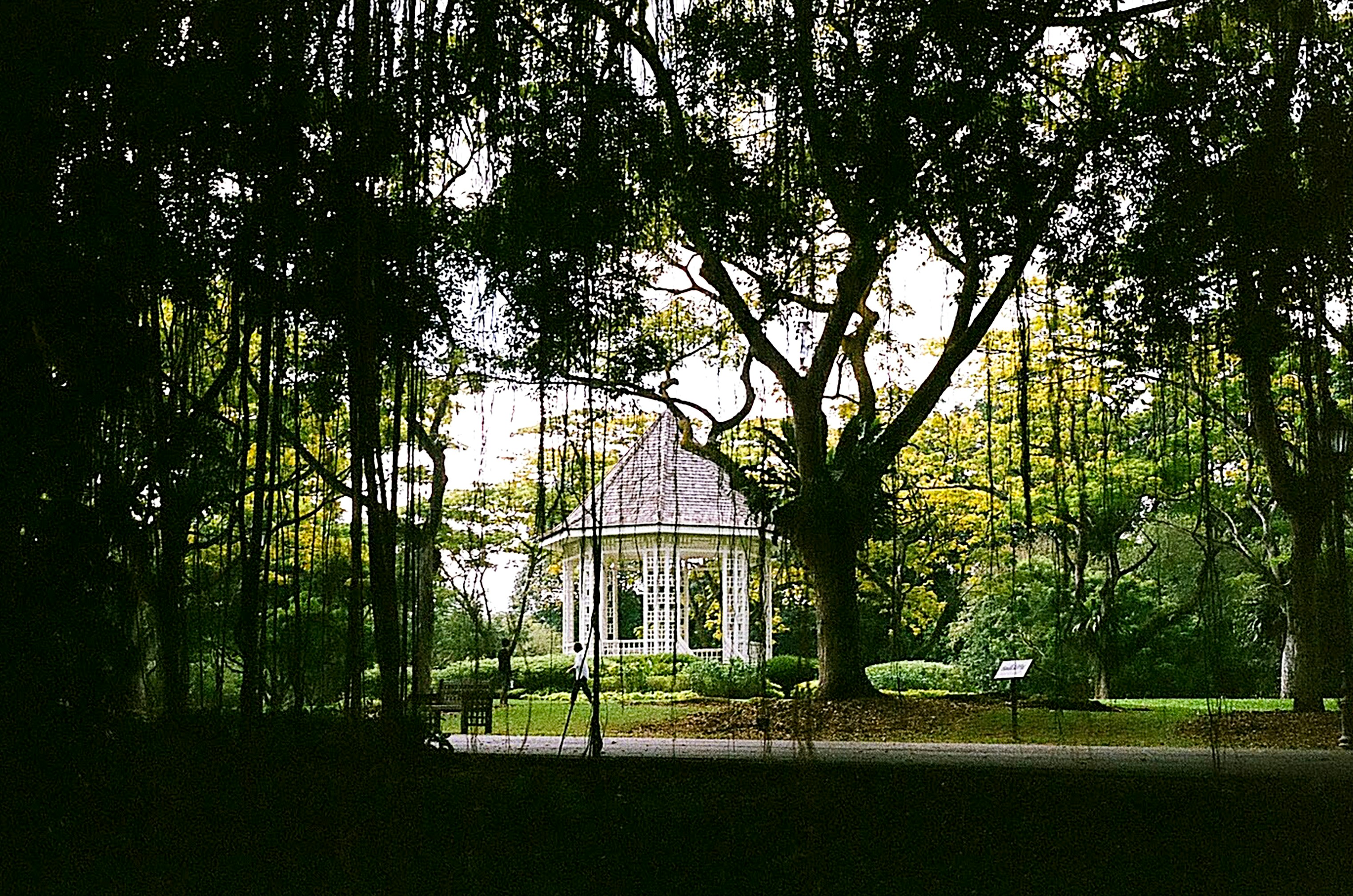 Waterproof Pop-Up Gazebo