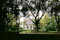 An elegant gazebo with soft curtains fluttering in a gentle breeze.