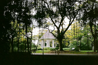 A charming freestanding gazebo surrounded by lush greenery and comfortable outdoor furniture.