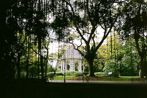 A charming freestanding gazebo surrounded by lush greenery and comfortable outdoor furniture.