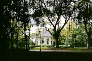 A gazebo draped with a fine mosquito net, creating a peaceful outdoor retreat.