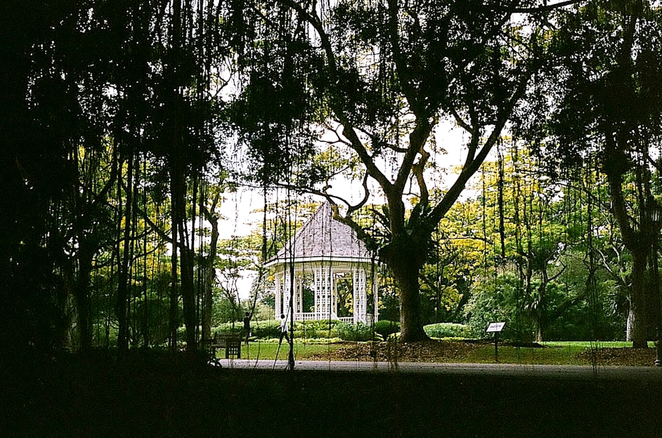 A sleek, waterproof pop-up gazebo set up in a lush garden on a bright day.