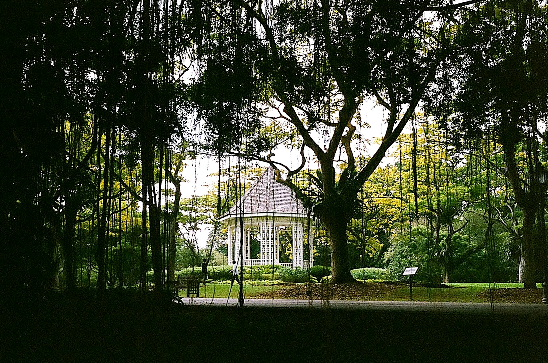 woman wearing yellow long-sleeved dress under white clouds and blue sky during daytime