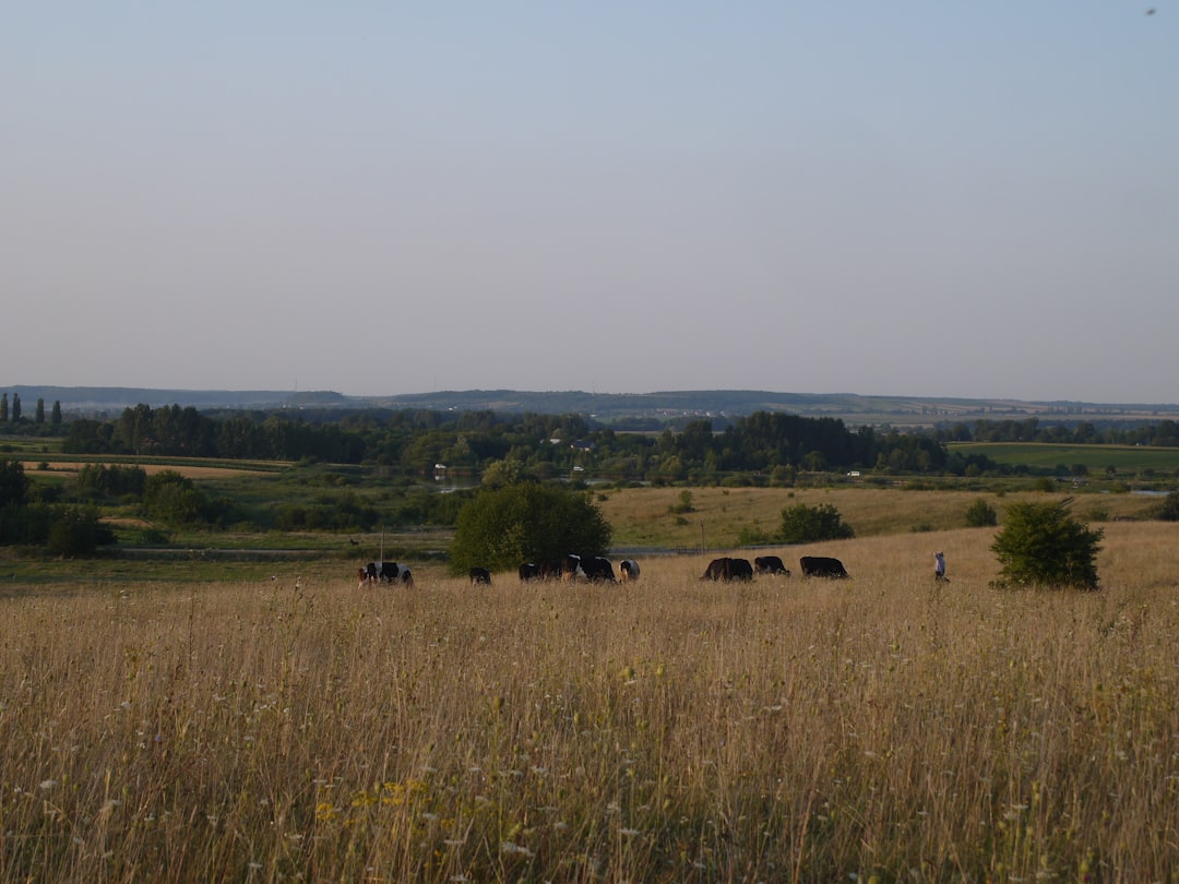Affordable Czechia: A Practical Guide to Hidden Gems and Budget Tra… — Affordable Czechia, photo 2