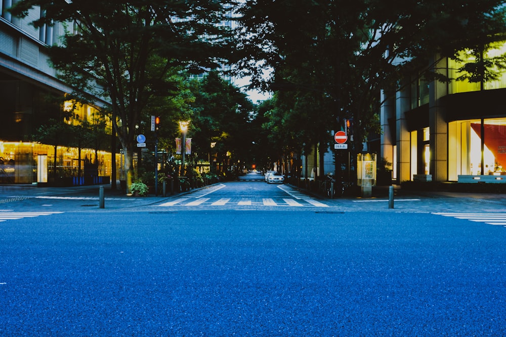 blue road in between trees during daytime