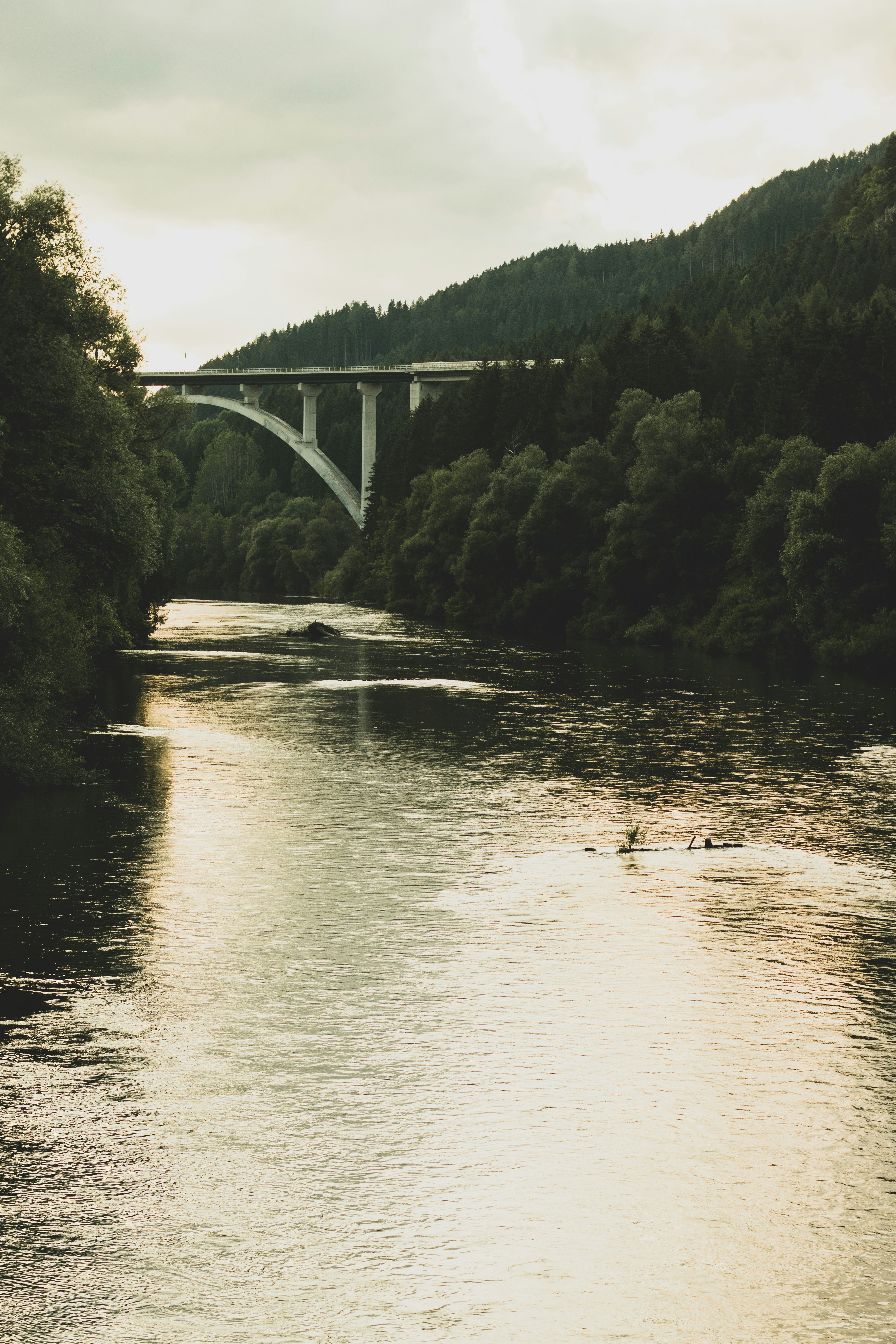 Photo by snowmountainer