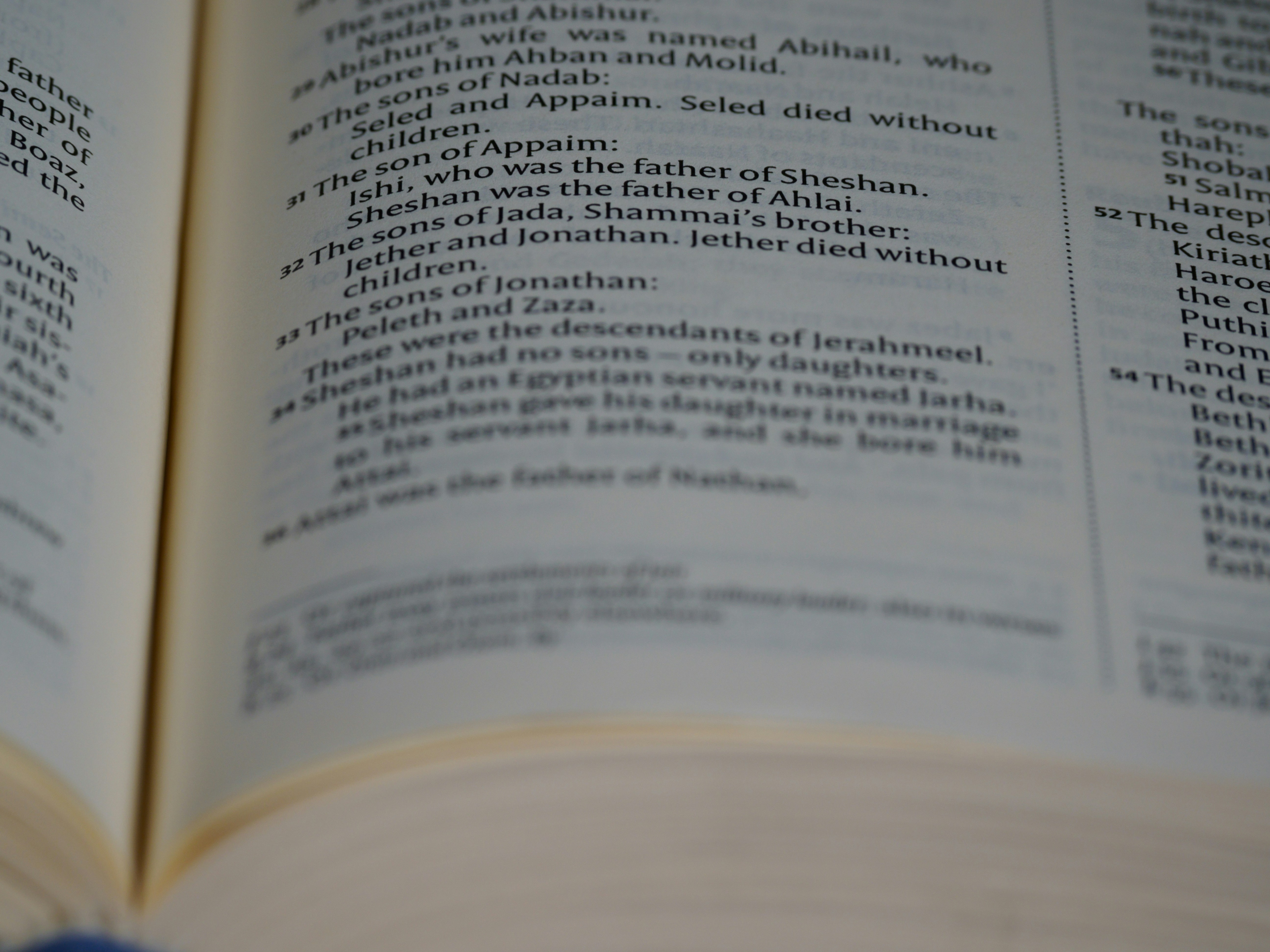 Dutch grammar references online