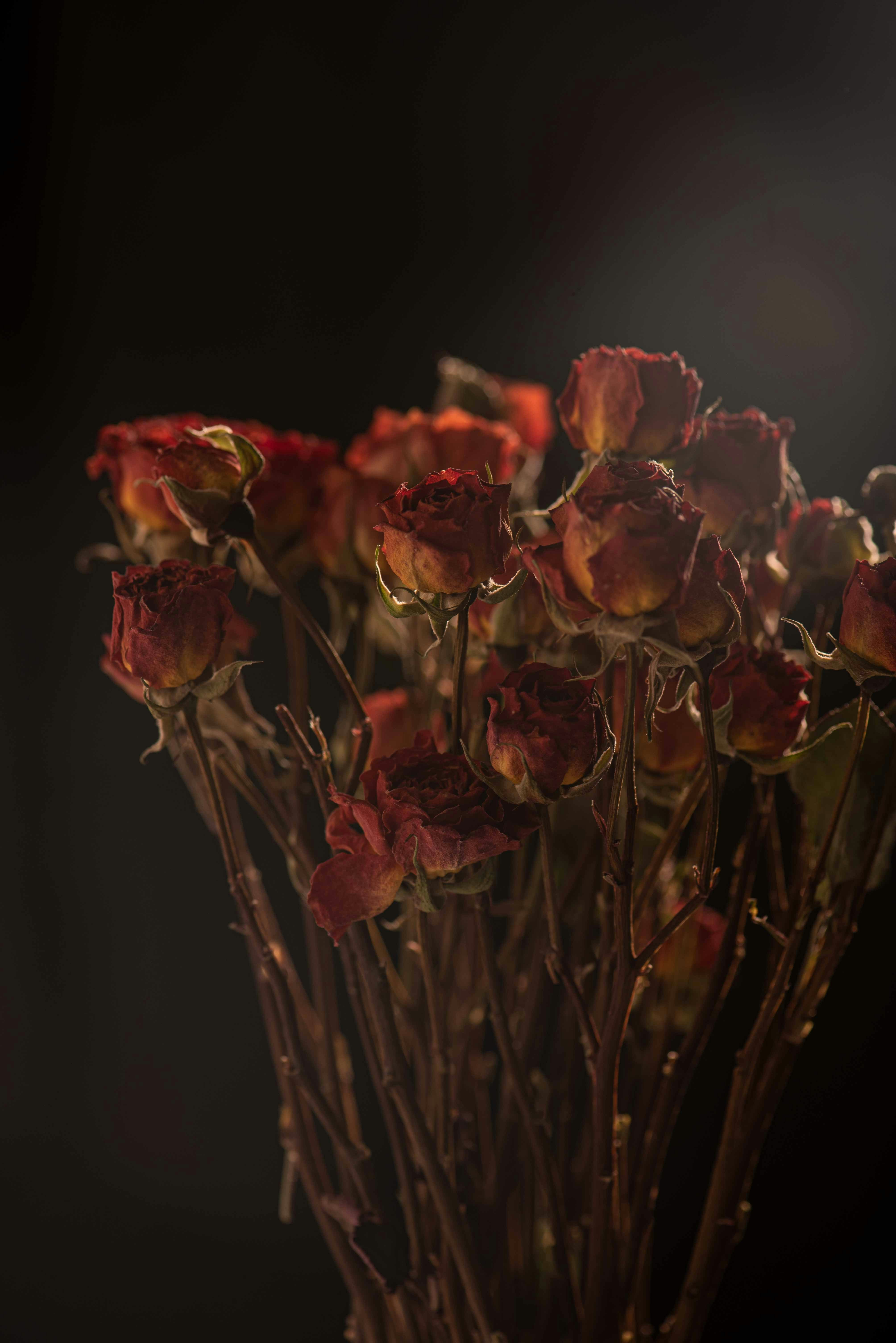 Photo by fuyouzhimeng