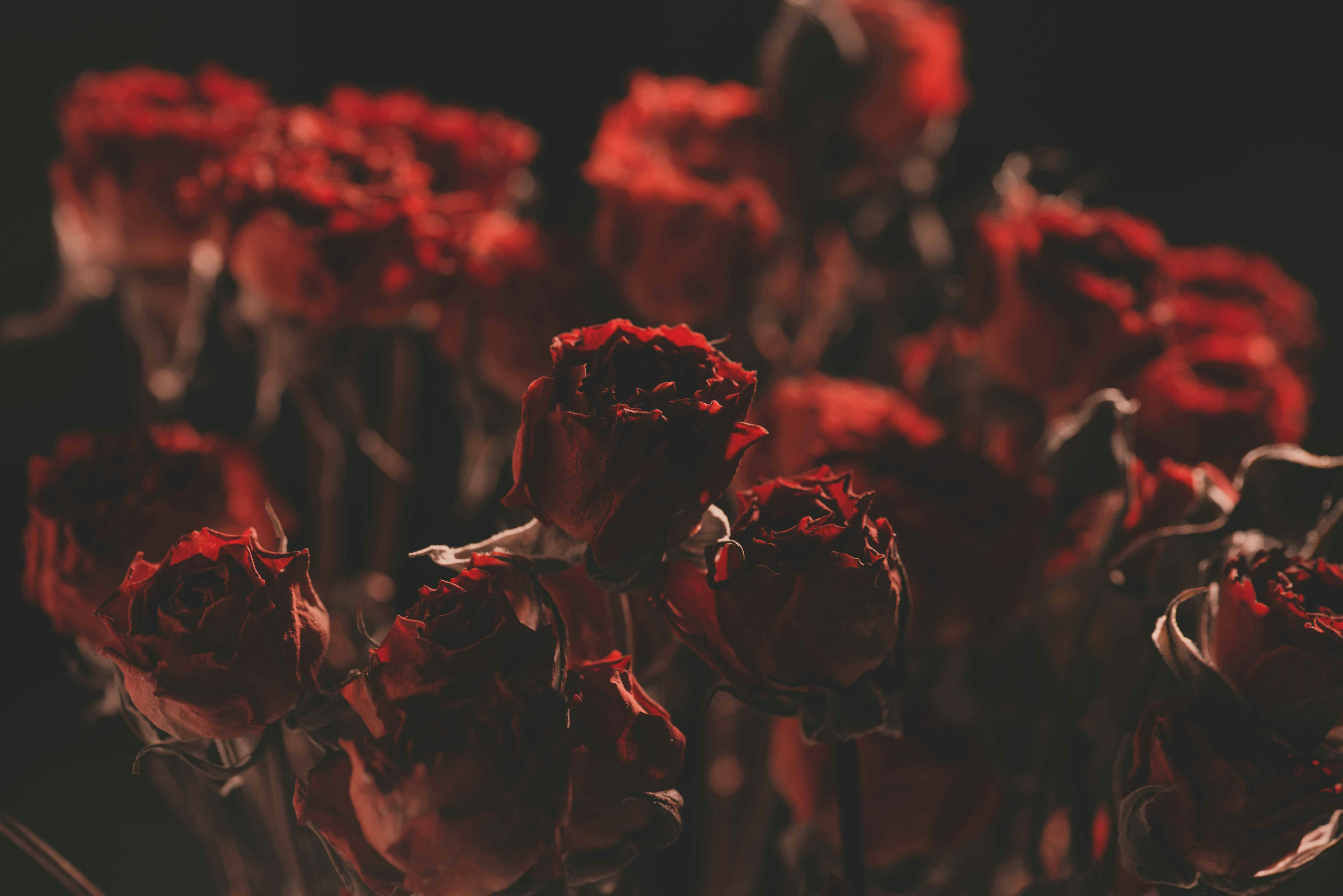 Photo by fuyouzhimeng