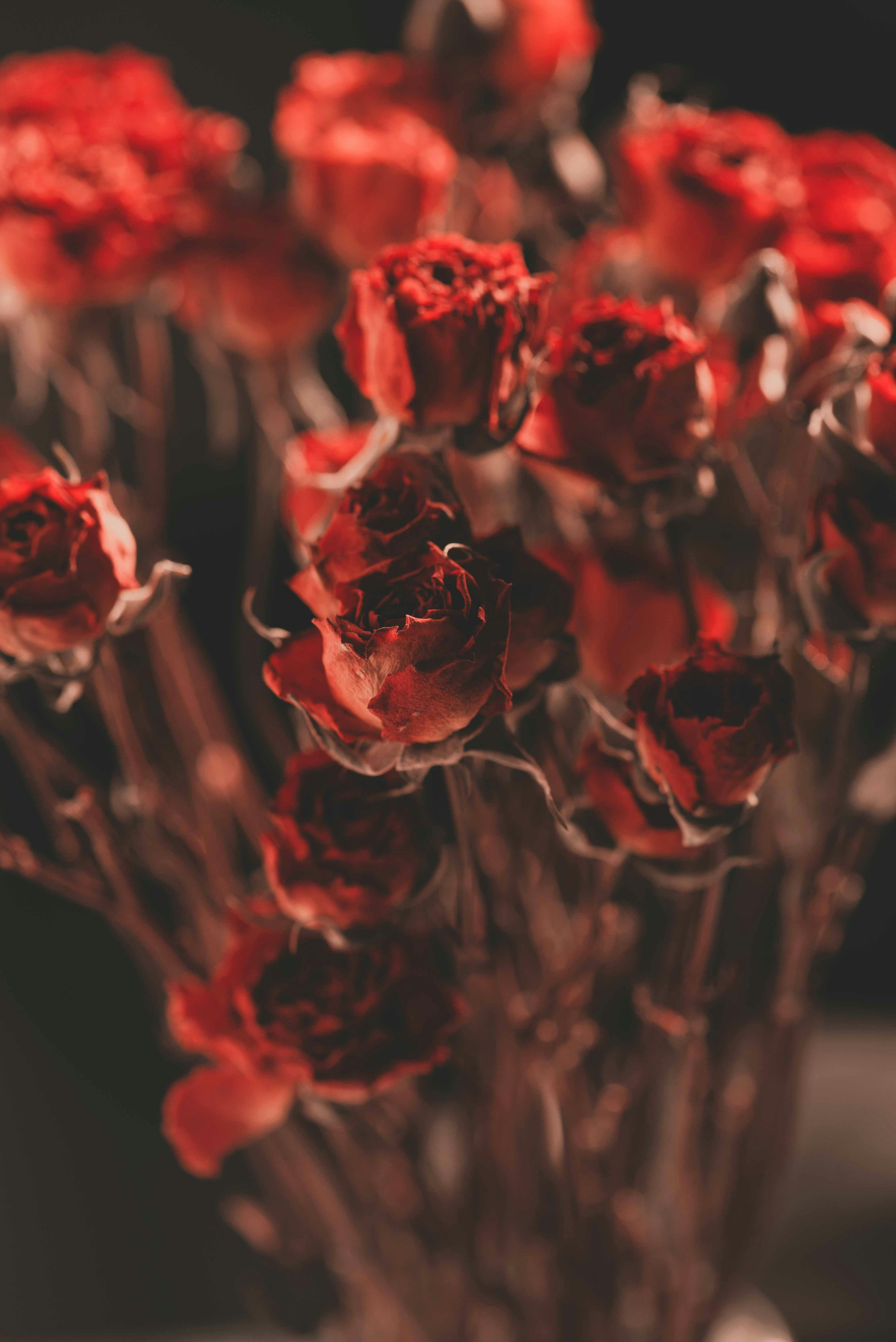 Photo by fuyouzhimeng