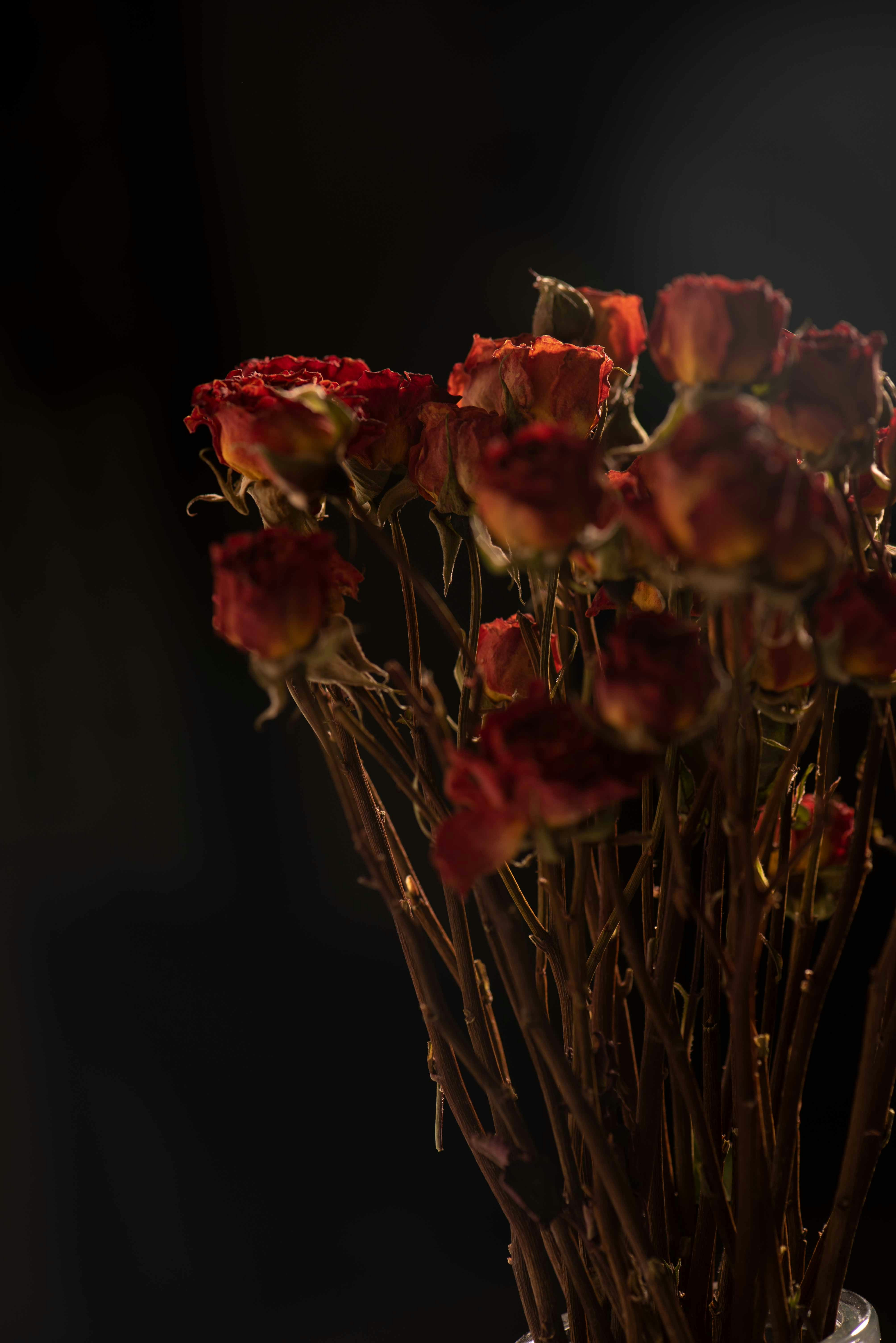 Photo by fuyouzhimeng