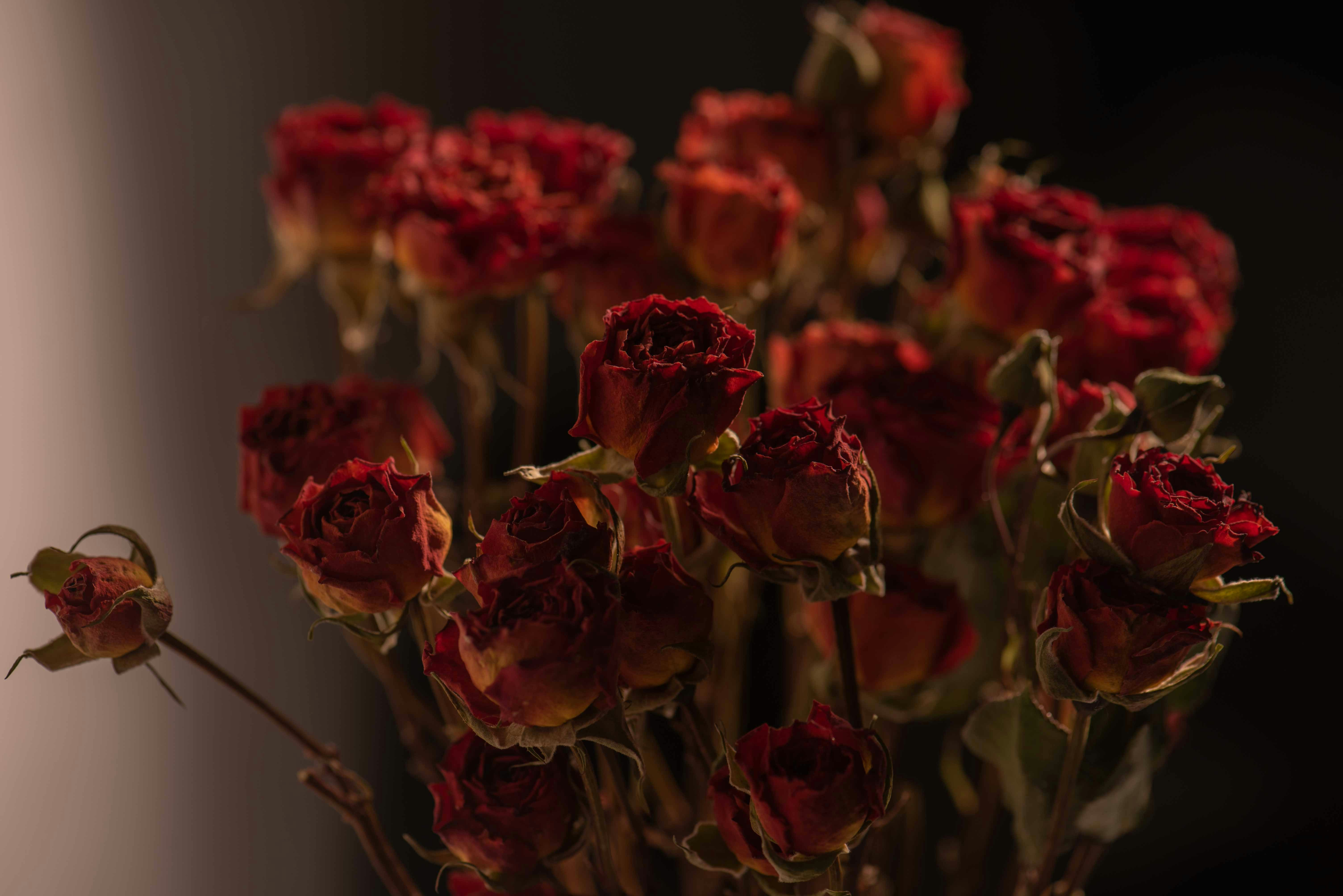 Photo by fuyouzhimeng