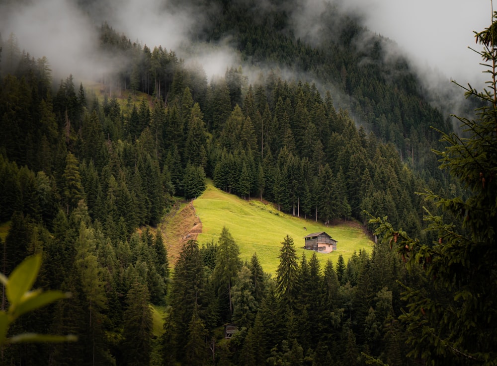 green trees on mountain under cloudy sky during daytime